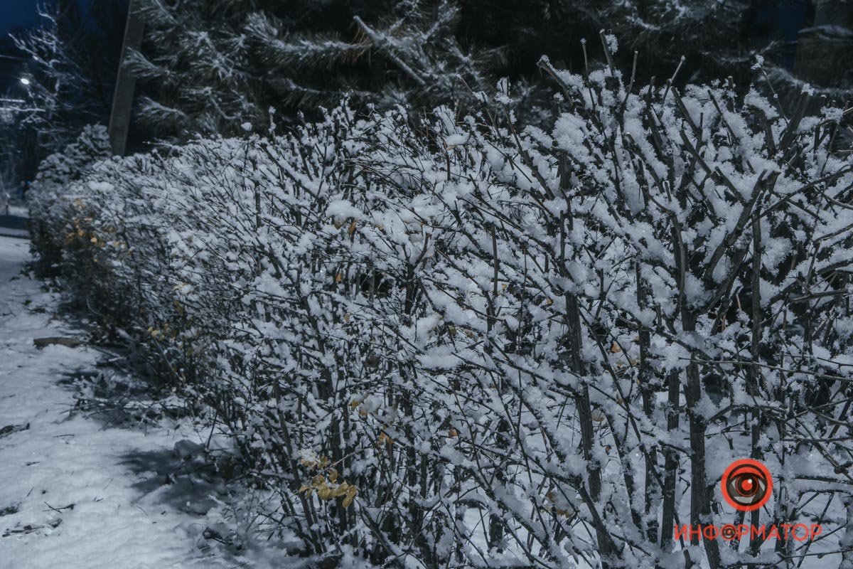 Снежная Королева украсила улицы города Снежная Королева украсила улицы города