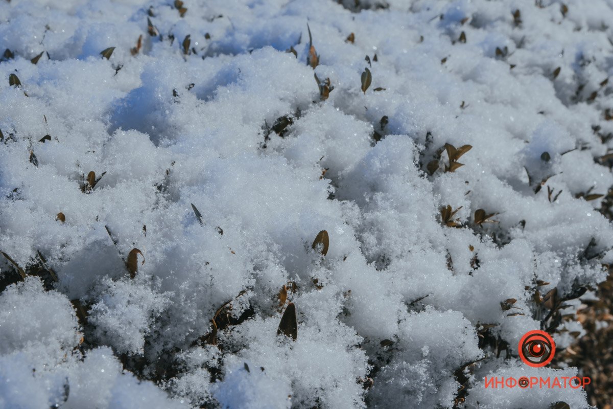 Уже даже можно слепить снеговика! Правда, маленького... Уже даже можно слепить снеговика! Правда, маленького...