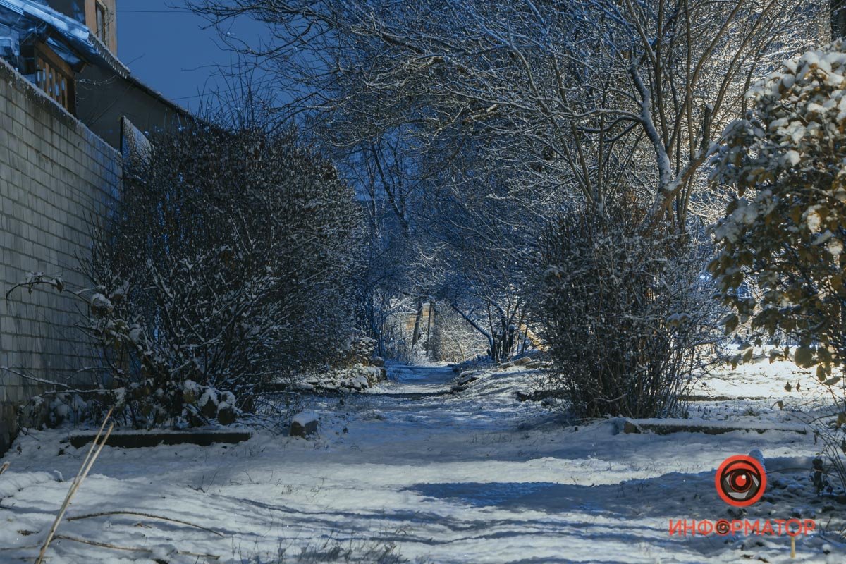 Тишина, которая отпечаталась на снимке Тишина, которая отпечаталась на снимке
