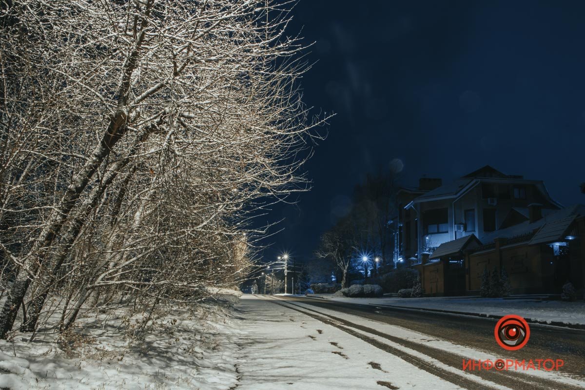 Чьи это следы? Старый год уходит? Чьи это следы? Старый год уходит?