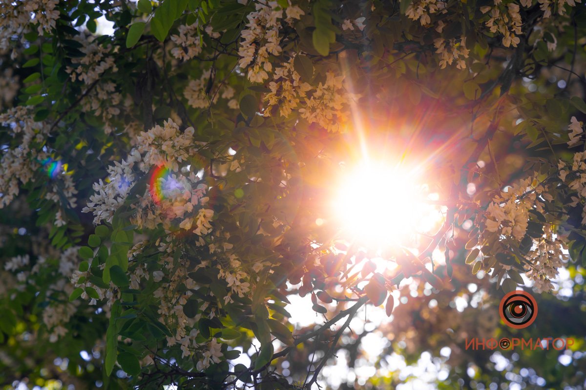 Фото: Денис Чубченко