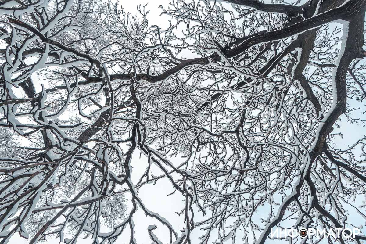 Фото: Дмитрий Федоров