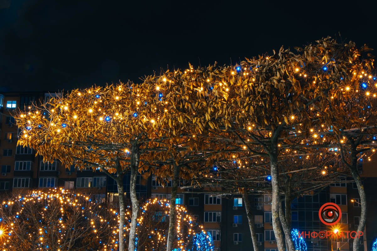 Какие сказочные фрукты растут зимой на деревьях? 