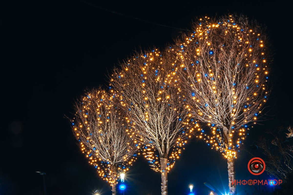 Волшебные светлячки на ветках 