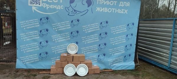 В рамках проекта EVA и Happy Paw получили помощь 11 приютов для животных 9