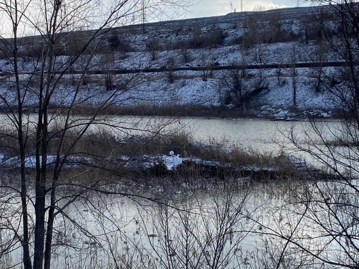 В Кривом Роге на предприятии прорвало дамбу: вода затопила дачи и повалила столбы 3