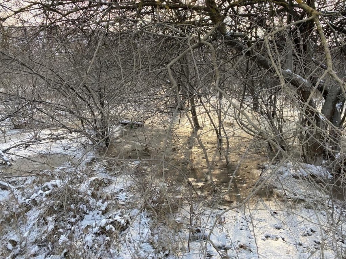 В Кривом Роге на предприятии прорвало дамбу: вода затопила дачи и повалила столбы 4