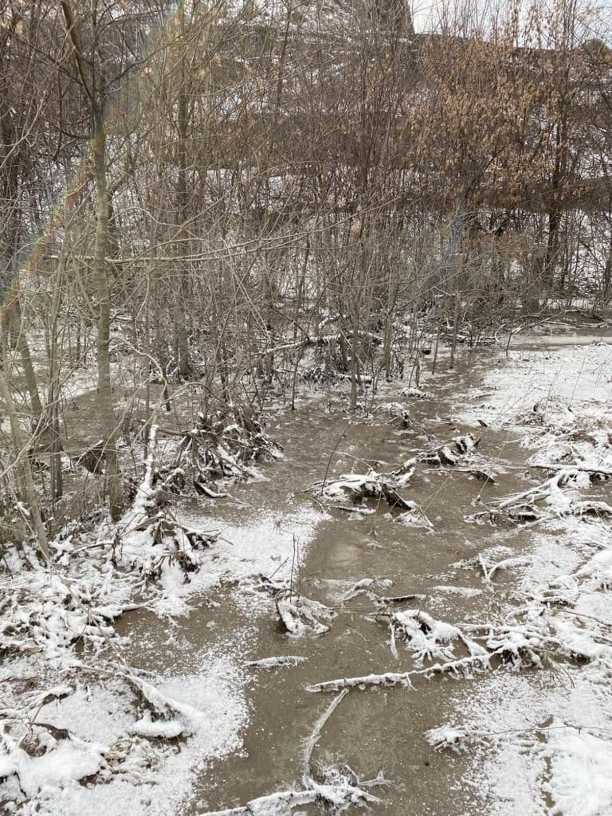 В Кривом Роге на предприятии прорвало дамбу: вода затопила дачи и повалила столбы 5
