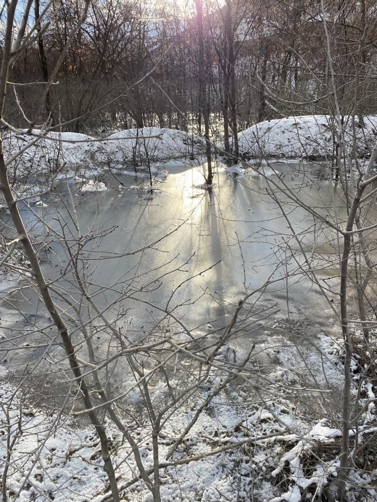 В Кривом Роге на предприятии прорвало дамбу: вода затопила дачи и повалила столбы 6