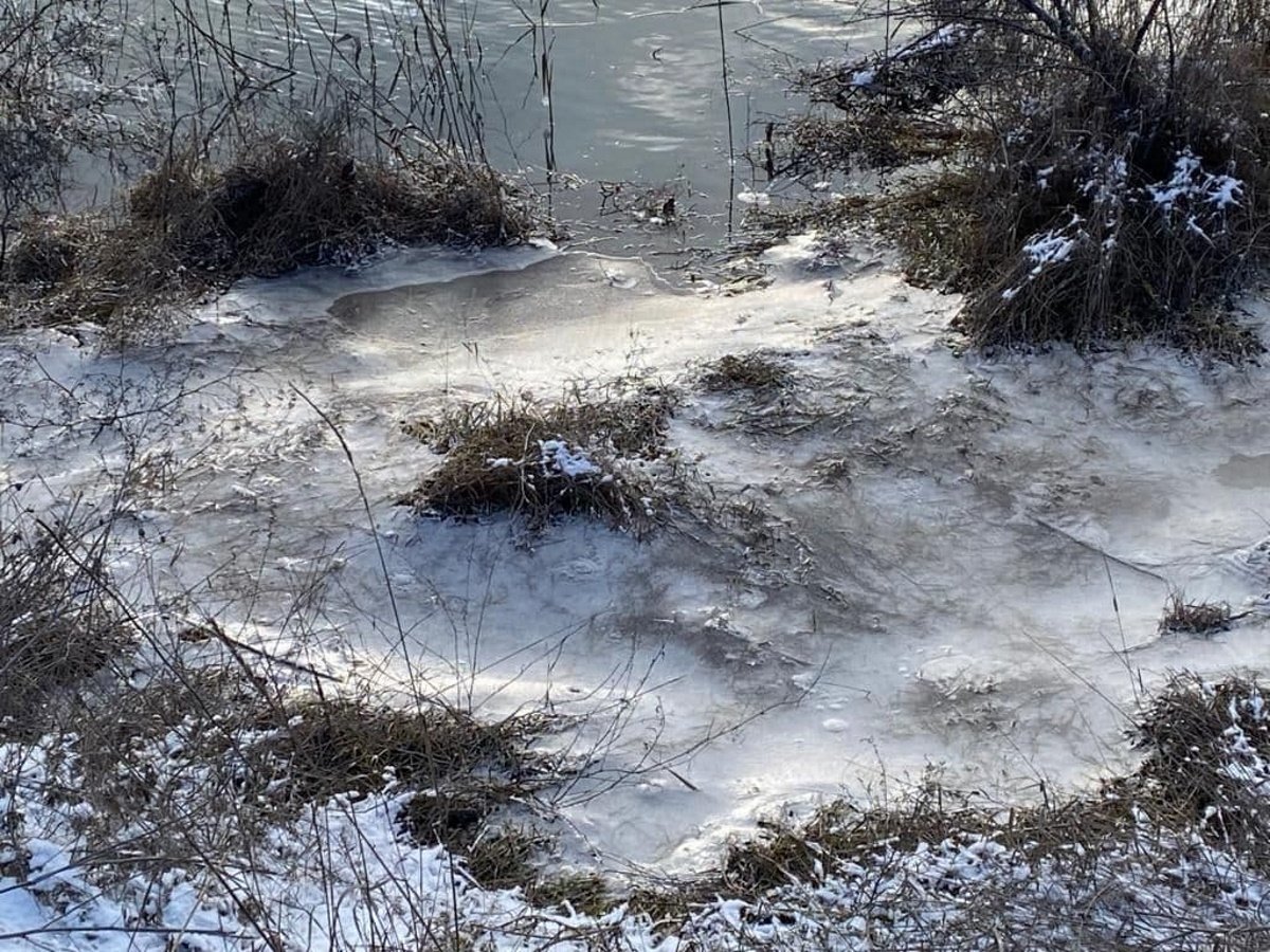 В Кривом Роге на предприятии прорвало дамбу: вода затопила дачи и повалила столбы 8