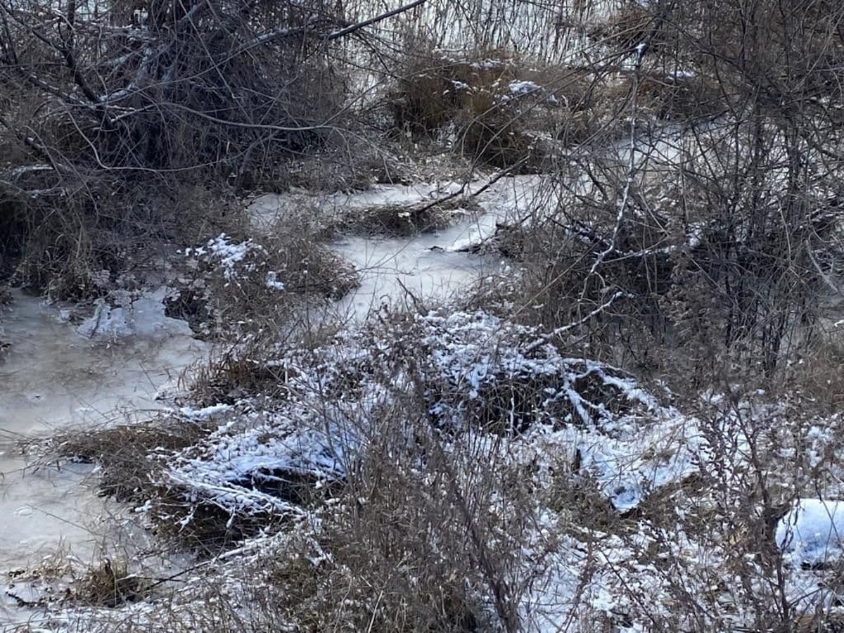 В Кривом Роге на предприятии прорвало дамбу: вода затопила дачи и повалила столбы 9