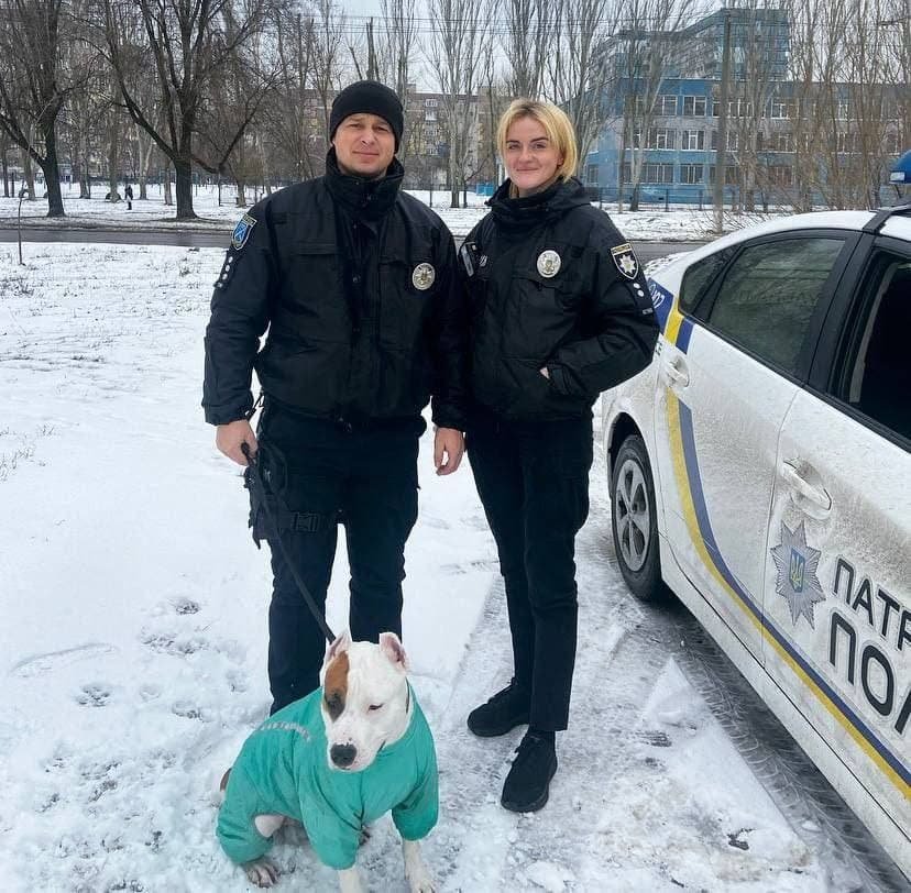 Патрульные заметили растерянную собачку Патрульные заметили растерянную собачку