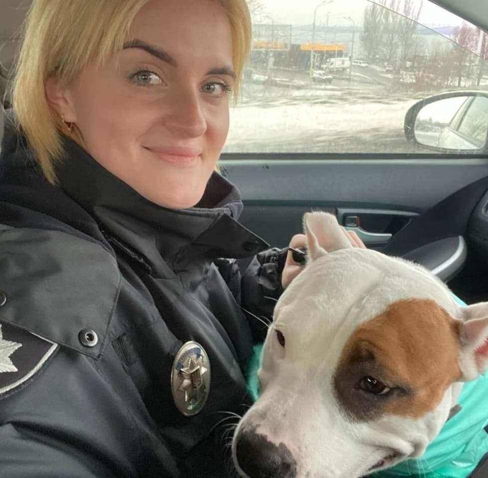 Песика не оставили в одиночестве Песика не оставили в одиночестве