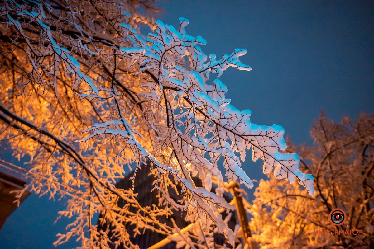 На смену листве