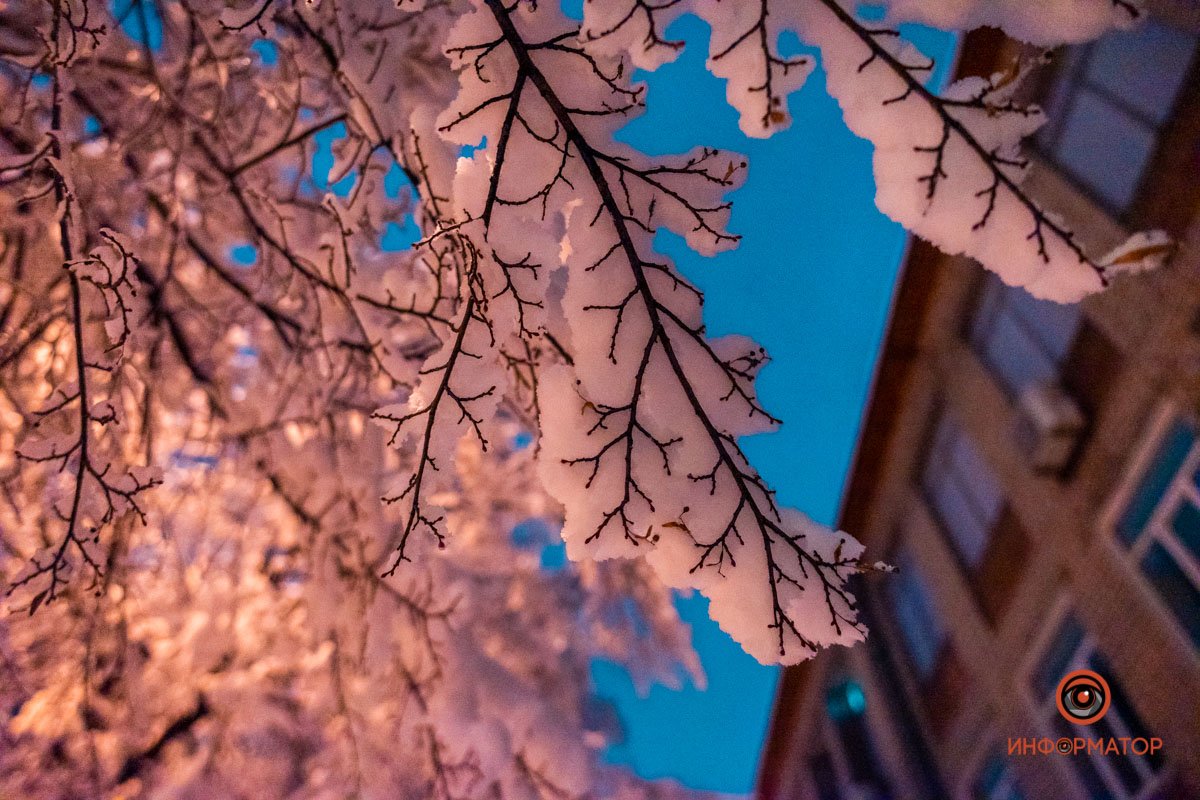 За это можно нечаянно влюбиться в зиму