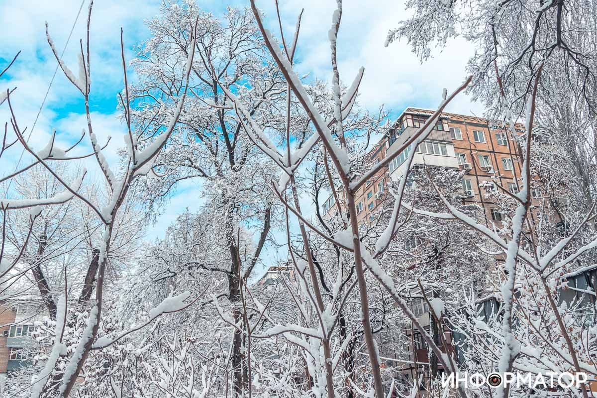 Дома в белом одеяле