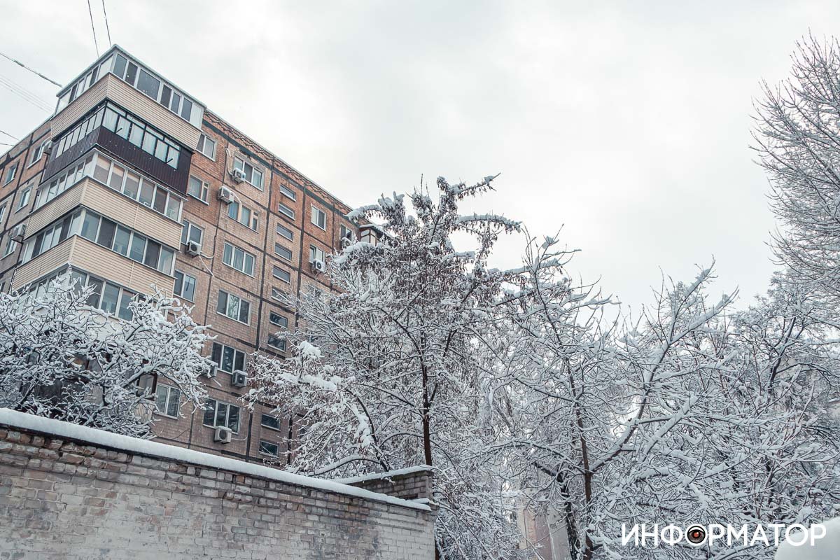 Снежные деревья 