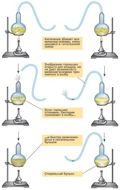 Визуализация опыта Визуализация опыта