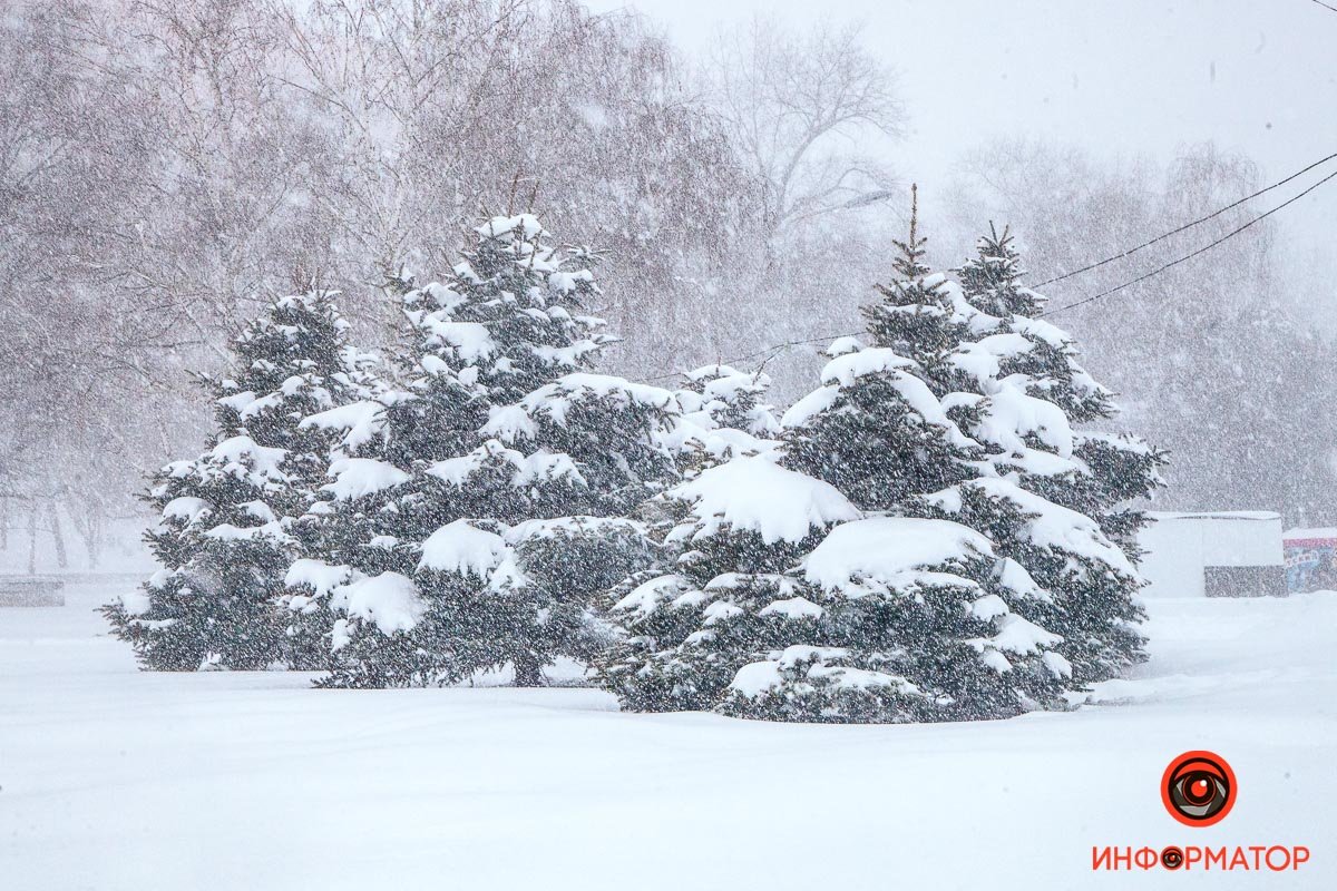 Фото красивого снегопада в Днепре: как зарядиться праздничным настроением 28
