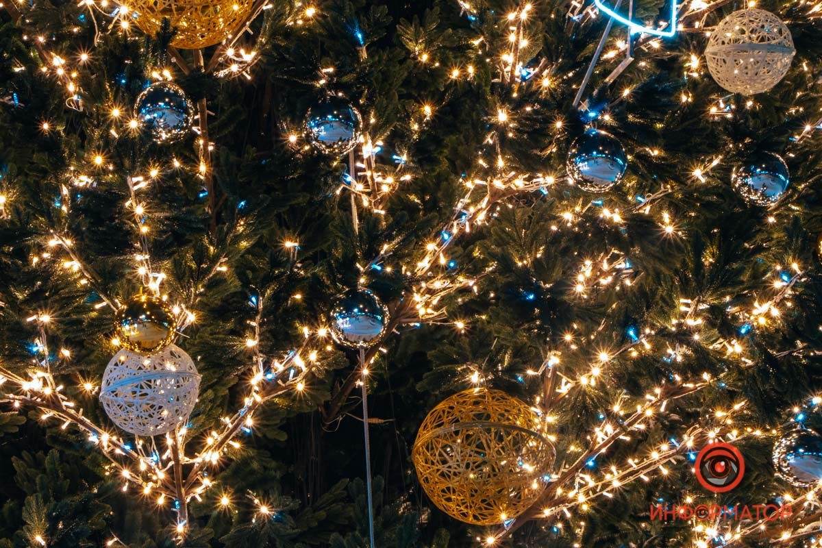 Думаю, теперь я понимаю, что ощущают коты, когда смотрят на ель 