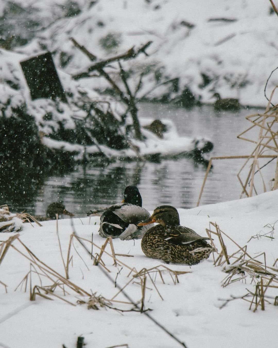 Лучшие из лучших: топ фото Днепра из Instagram за 2021 год 7