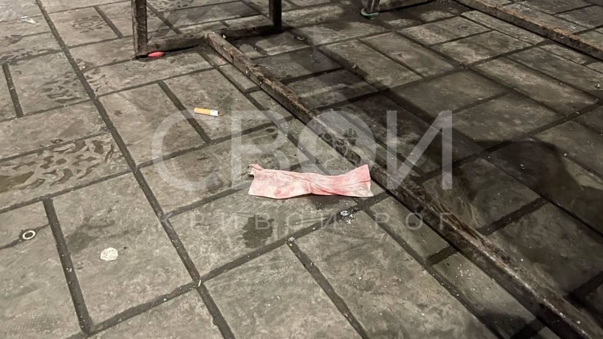 Изнасиловали и перерезали горло: в Днепропетровской области нашли обнаженный труп женщины 6