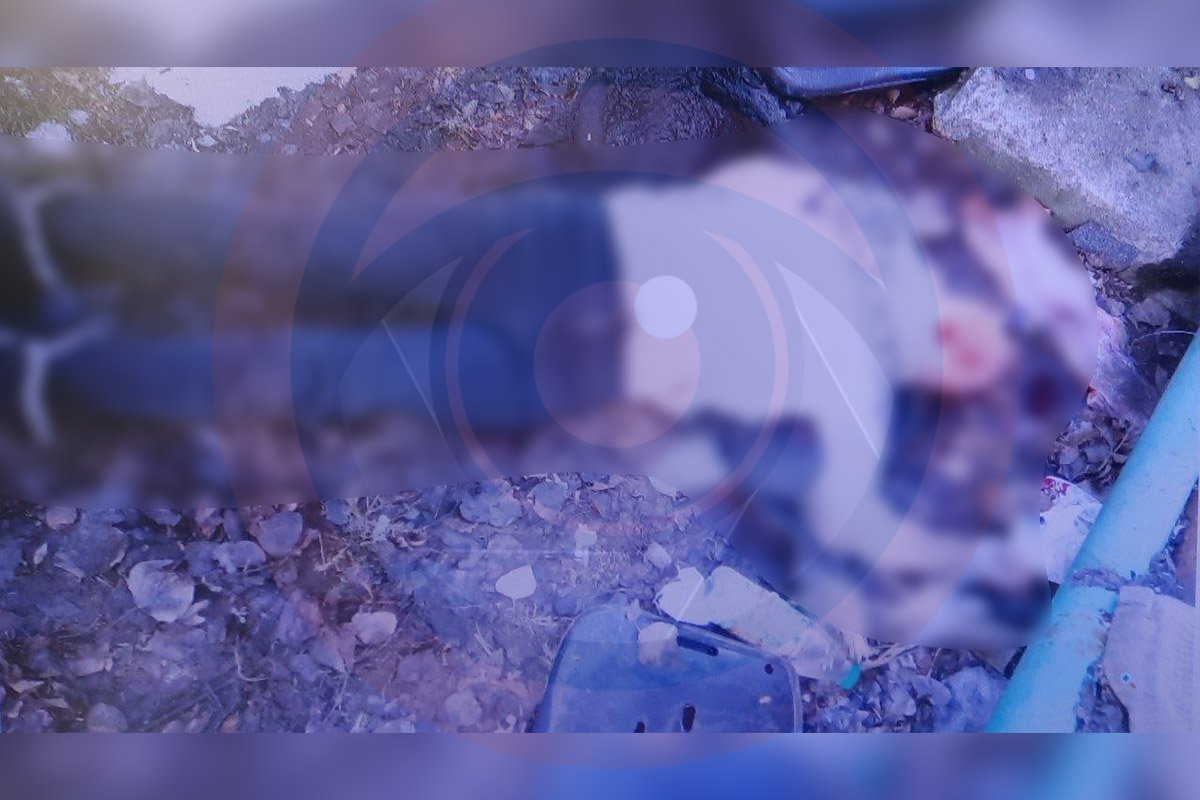 Тело обглодали собаки: в Днепре на Батумской нашли мертвую женщину 1