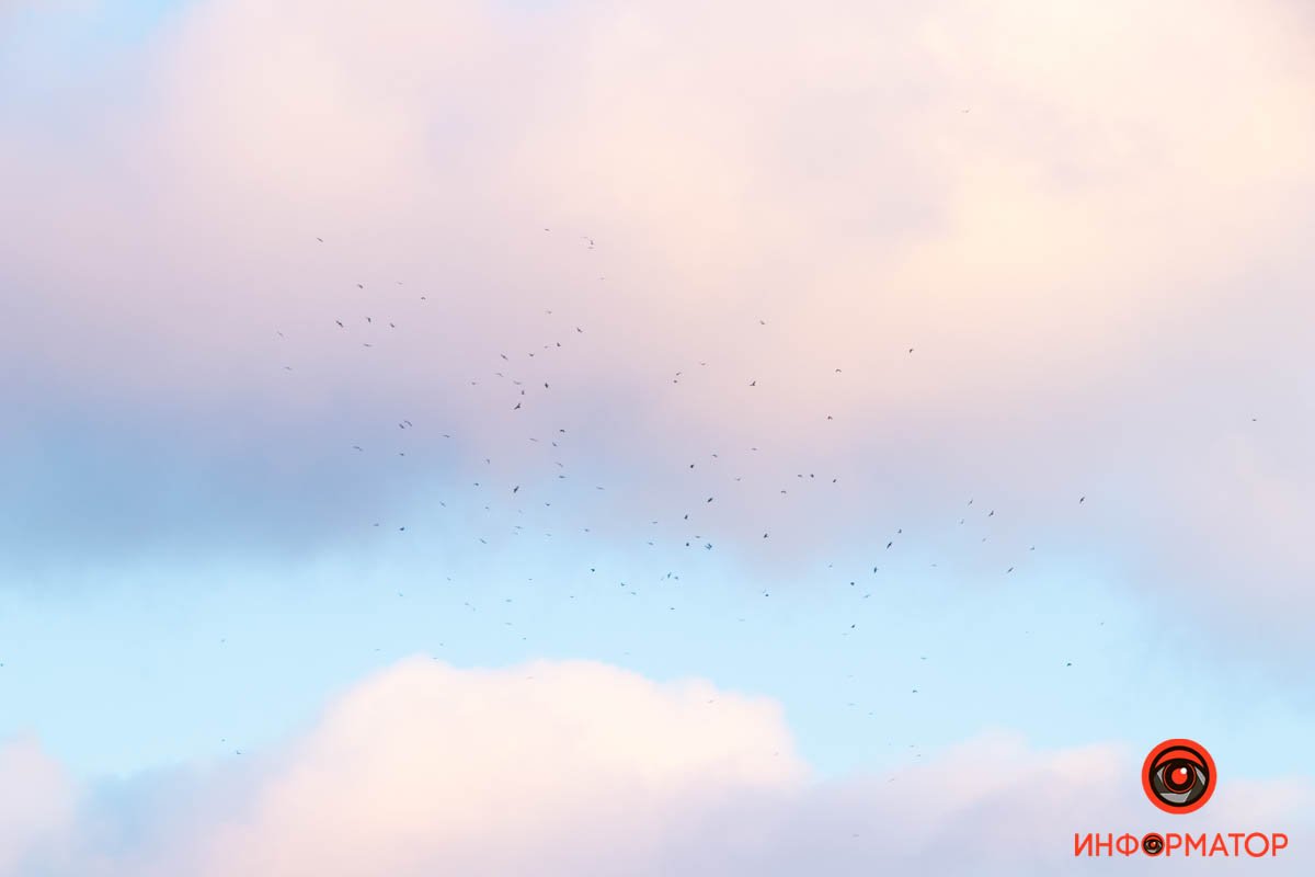 В Днепре розовые облака встретились с белым месяцем накануне Рождества 7