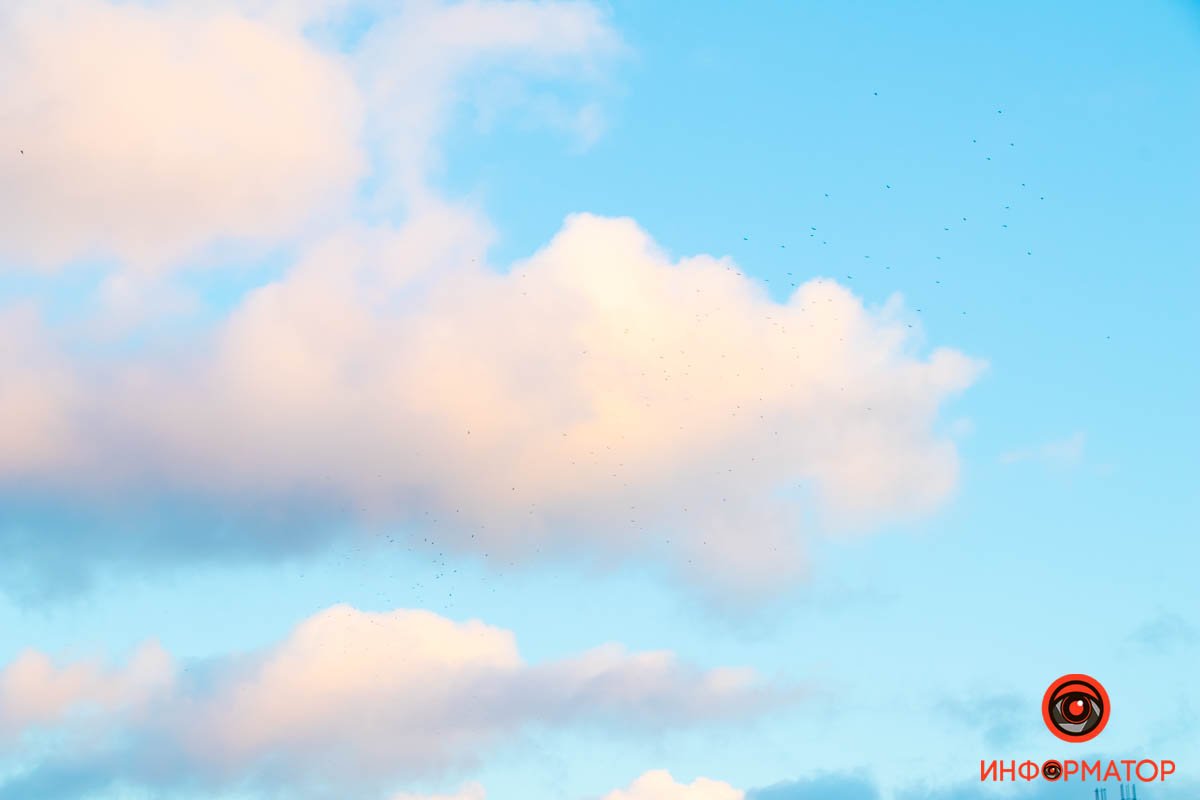 В Днепре розовые облака встретились с белым месяцем накануне Рождества 8