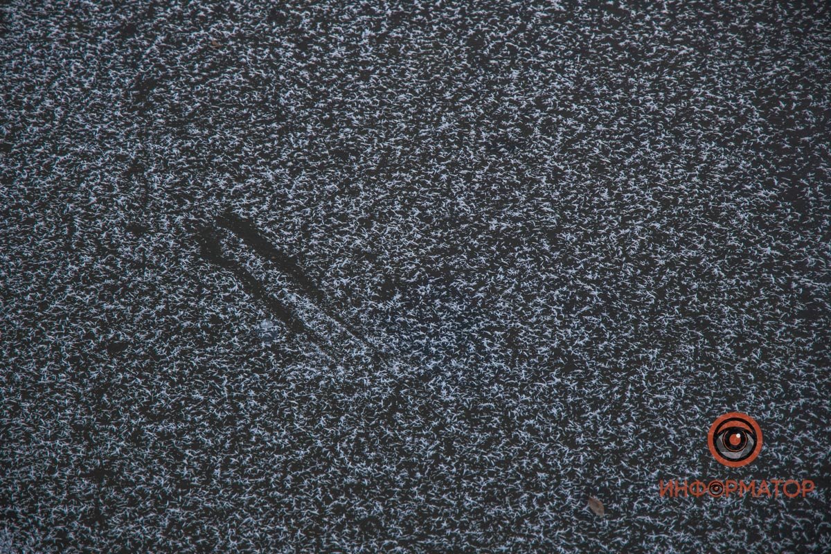 Что-то к сердцу от сердца дошло.