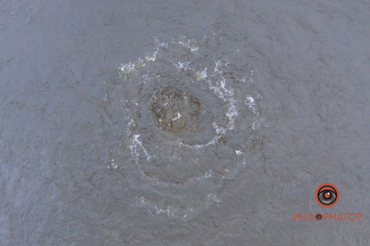 Рыба проснулась Рыба проснулась