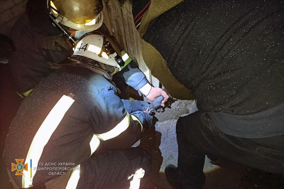 Спасатели распутали пса в Покрове