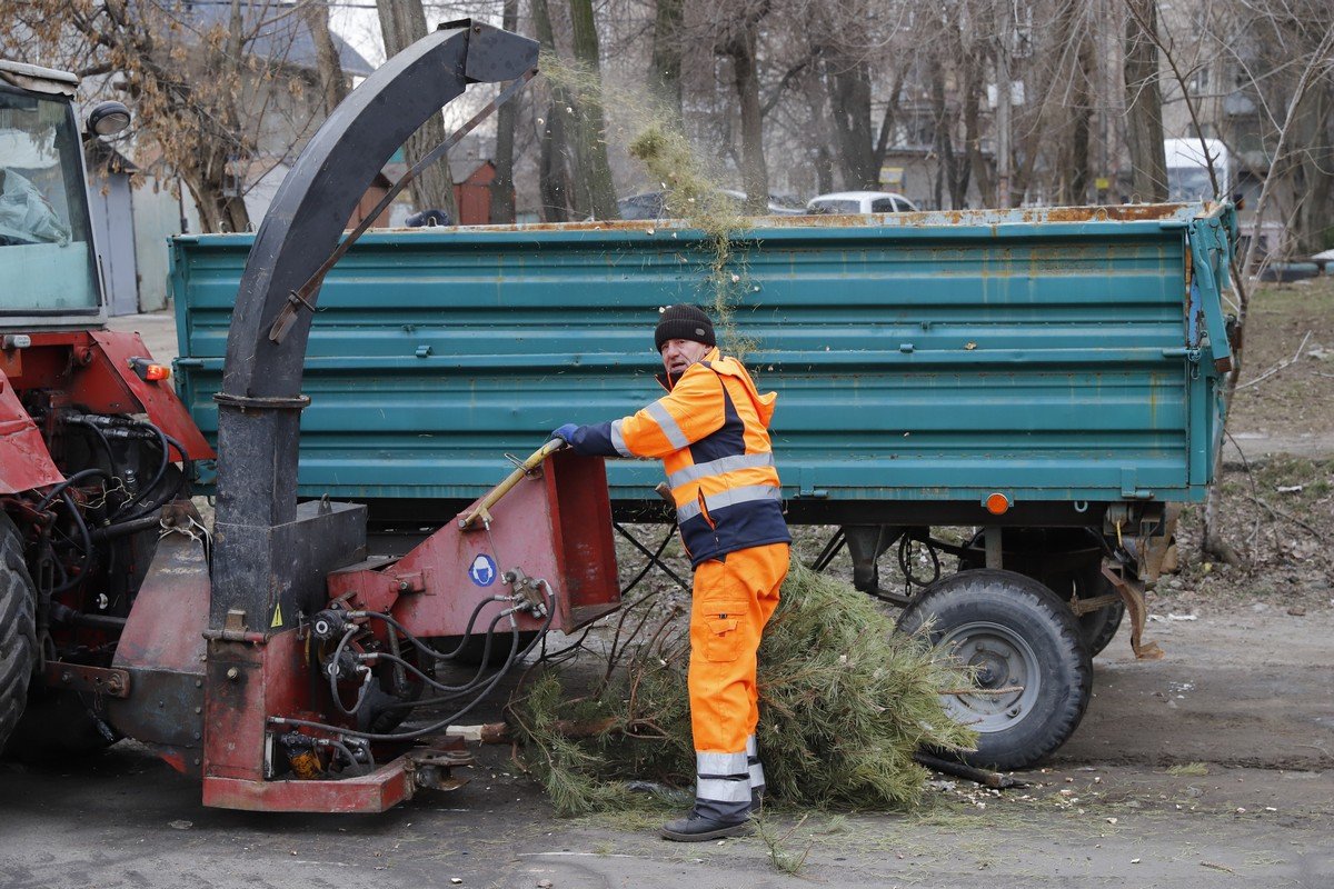 Измельчают и вывозят: в Днепре коммунальные службы начали утилизировать новогодние елки 3