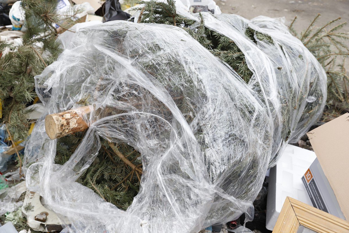 Измельчают и вывозят: в Днепре коммунальные службы начали утилизировать новогодние елки 6