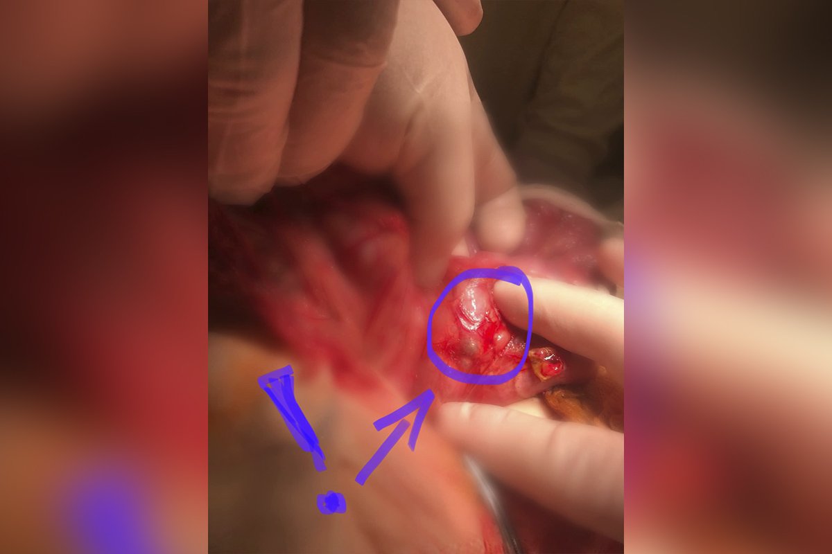 Ребенка уже перевели из реанимации Ребенка уже перевели из реанимации