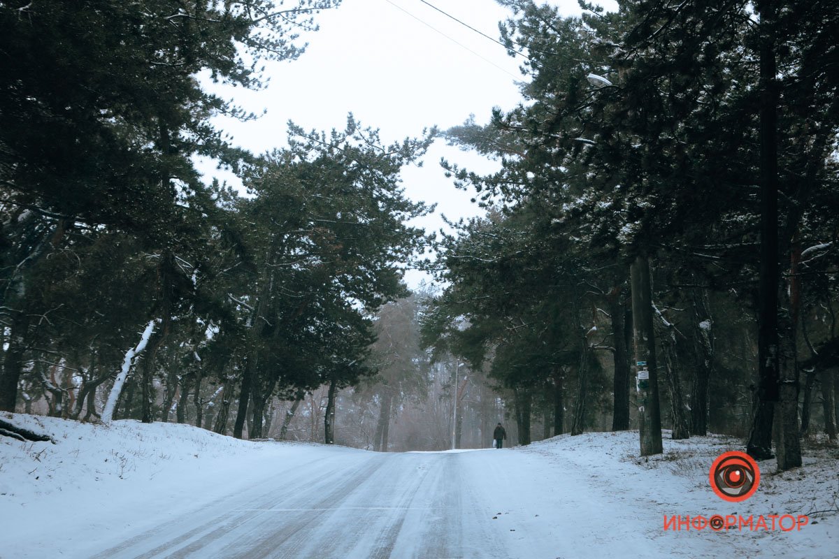 Зимняя сказка