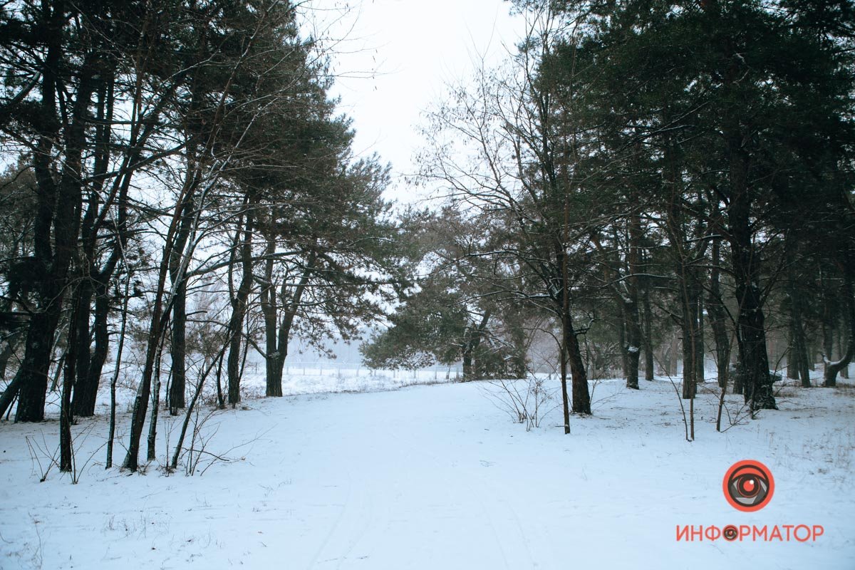 Непроглядность