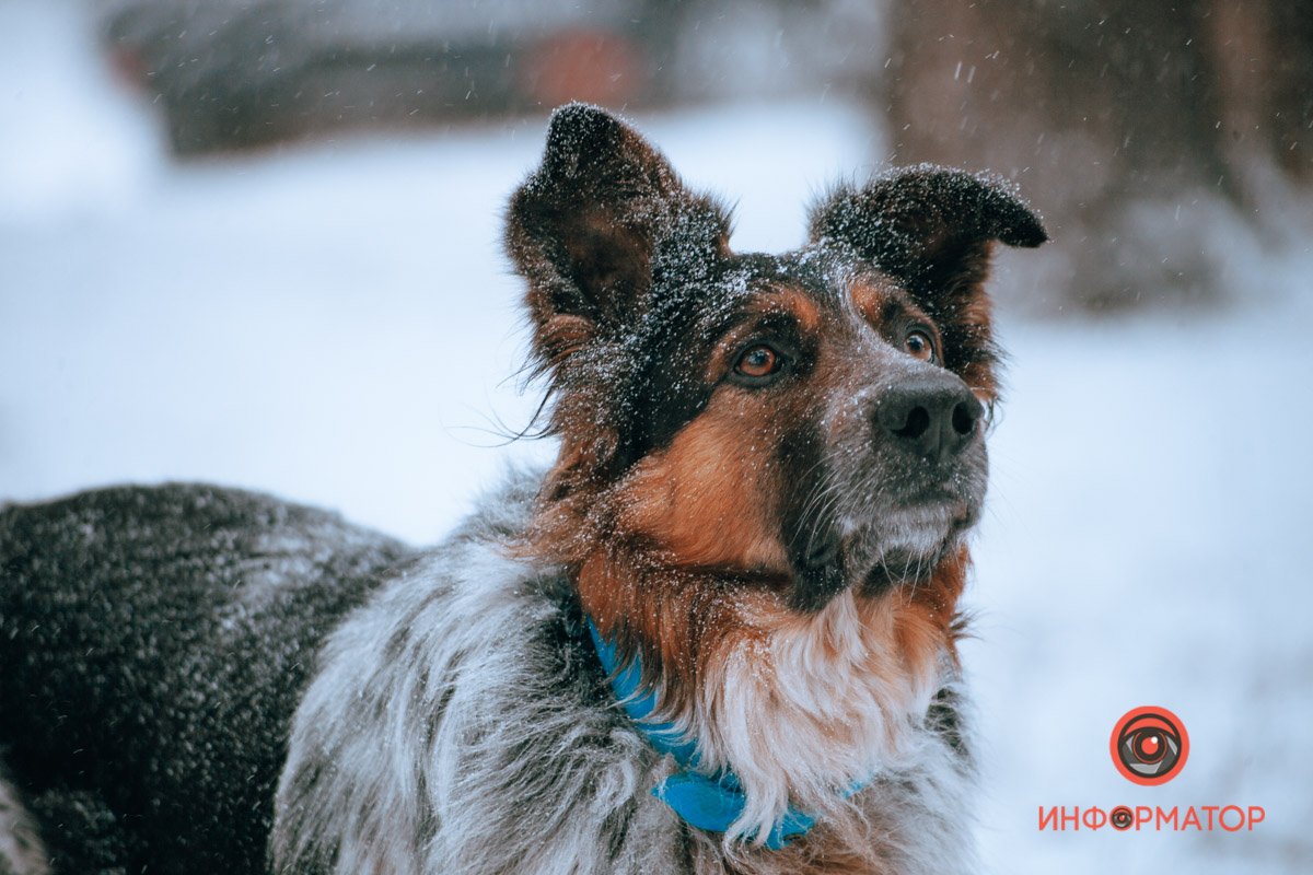 Пристальный взгляд
