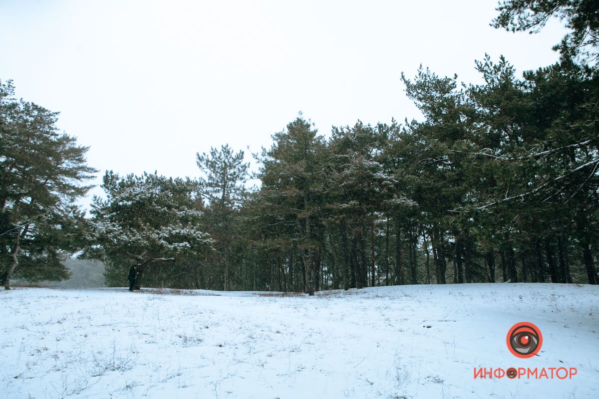 Ждет встречи