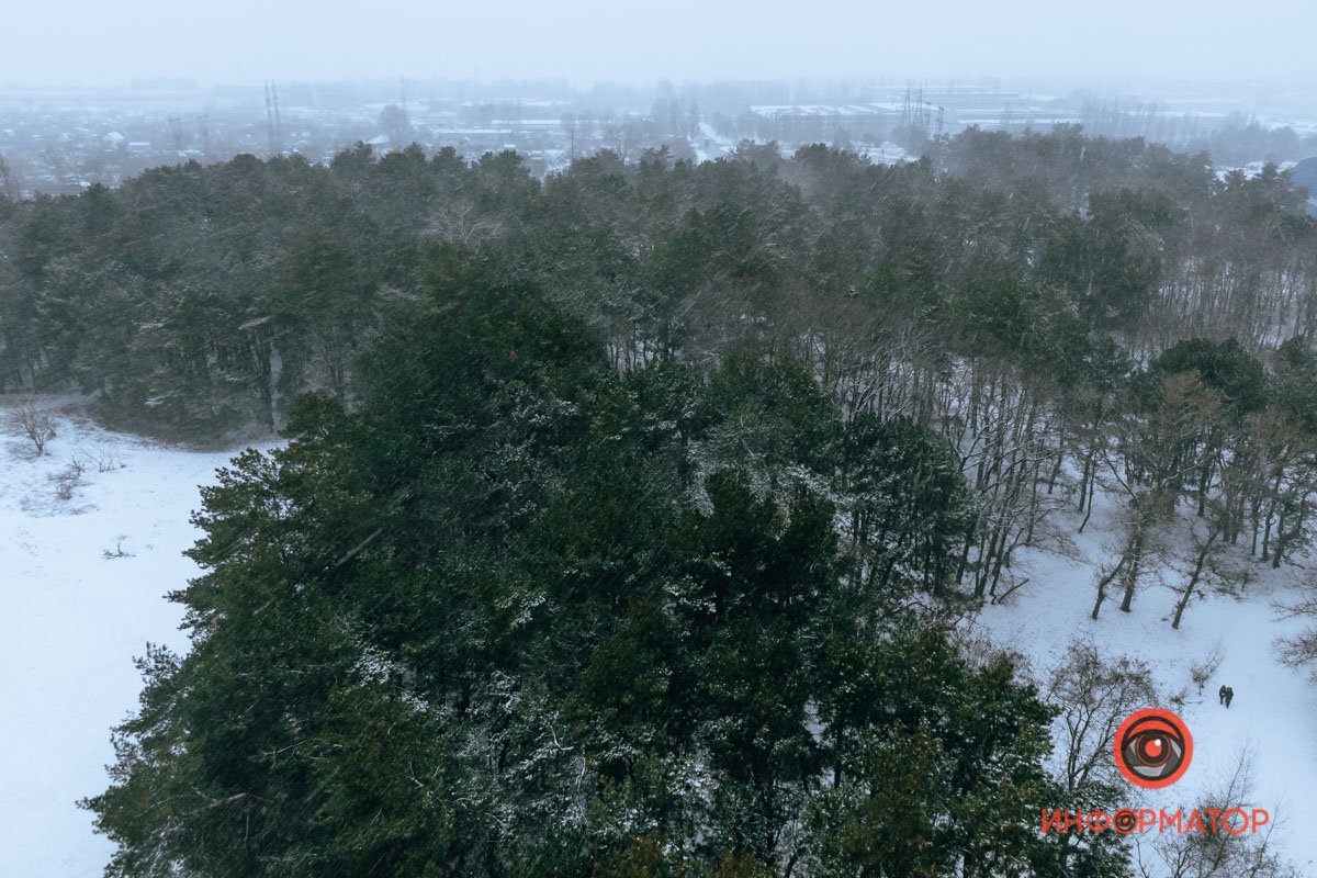 Прямо сказка