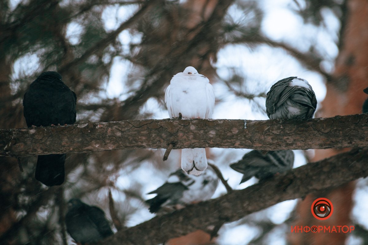 Ближе к телу