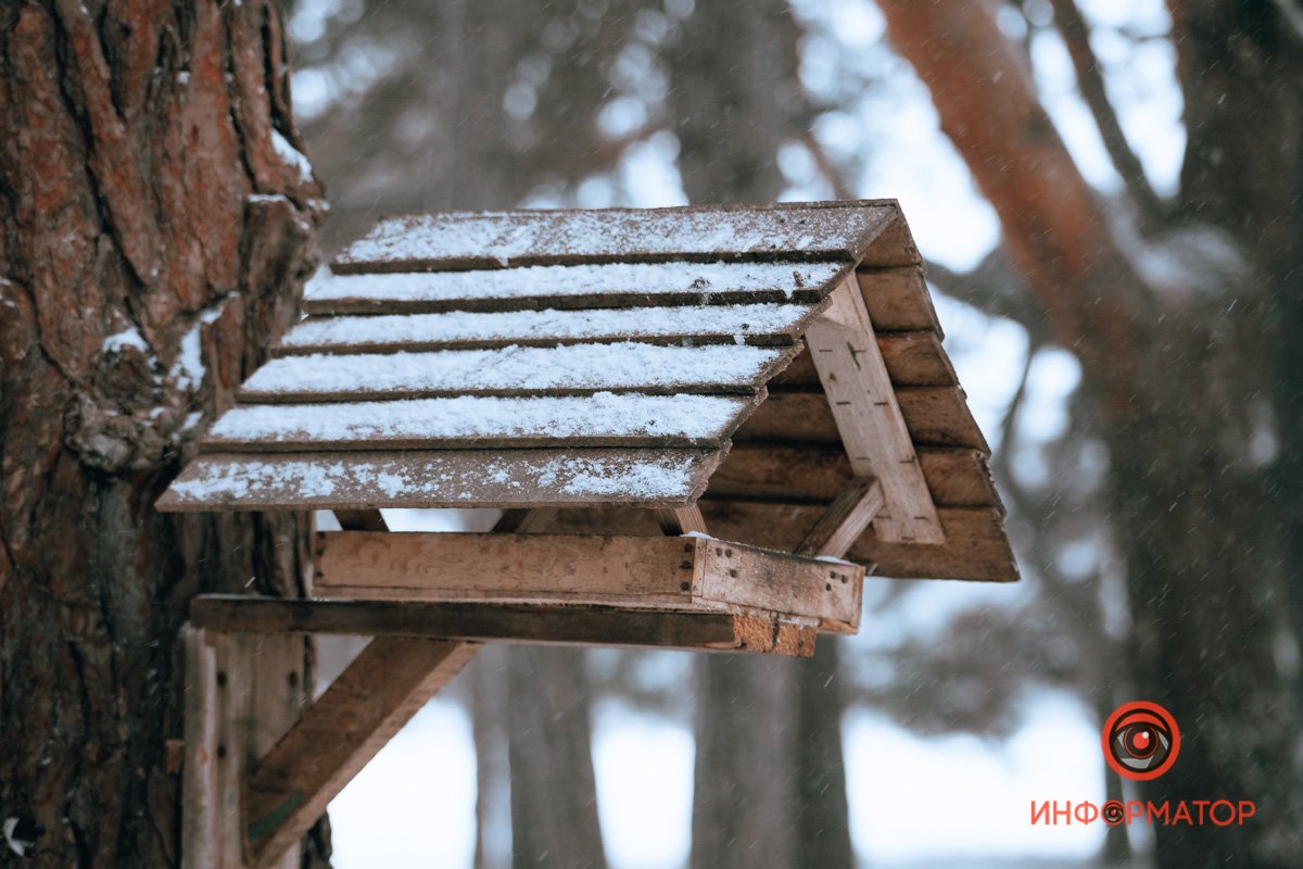 Такой себе домик