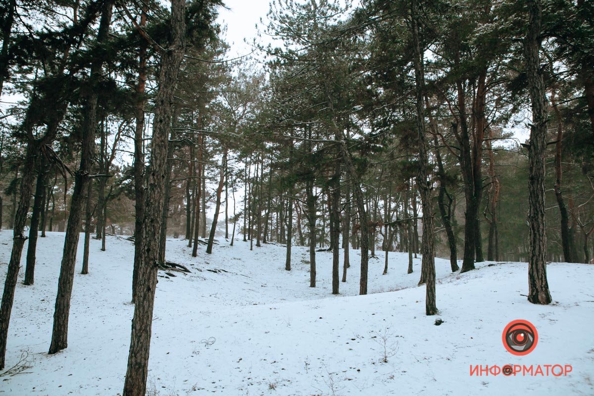 Стройные ряды