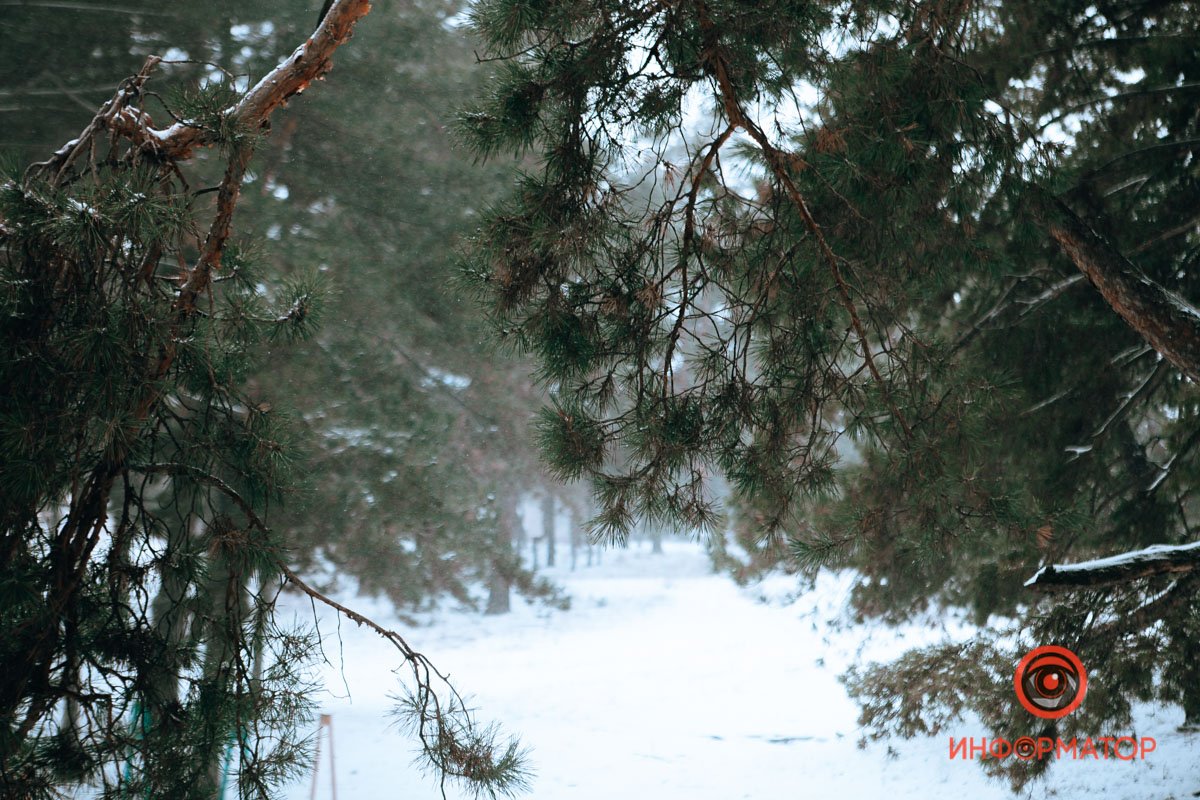 Где-то там живет Дед Мороз