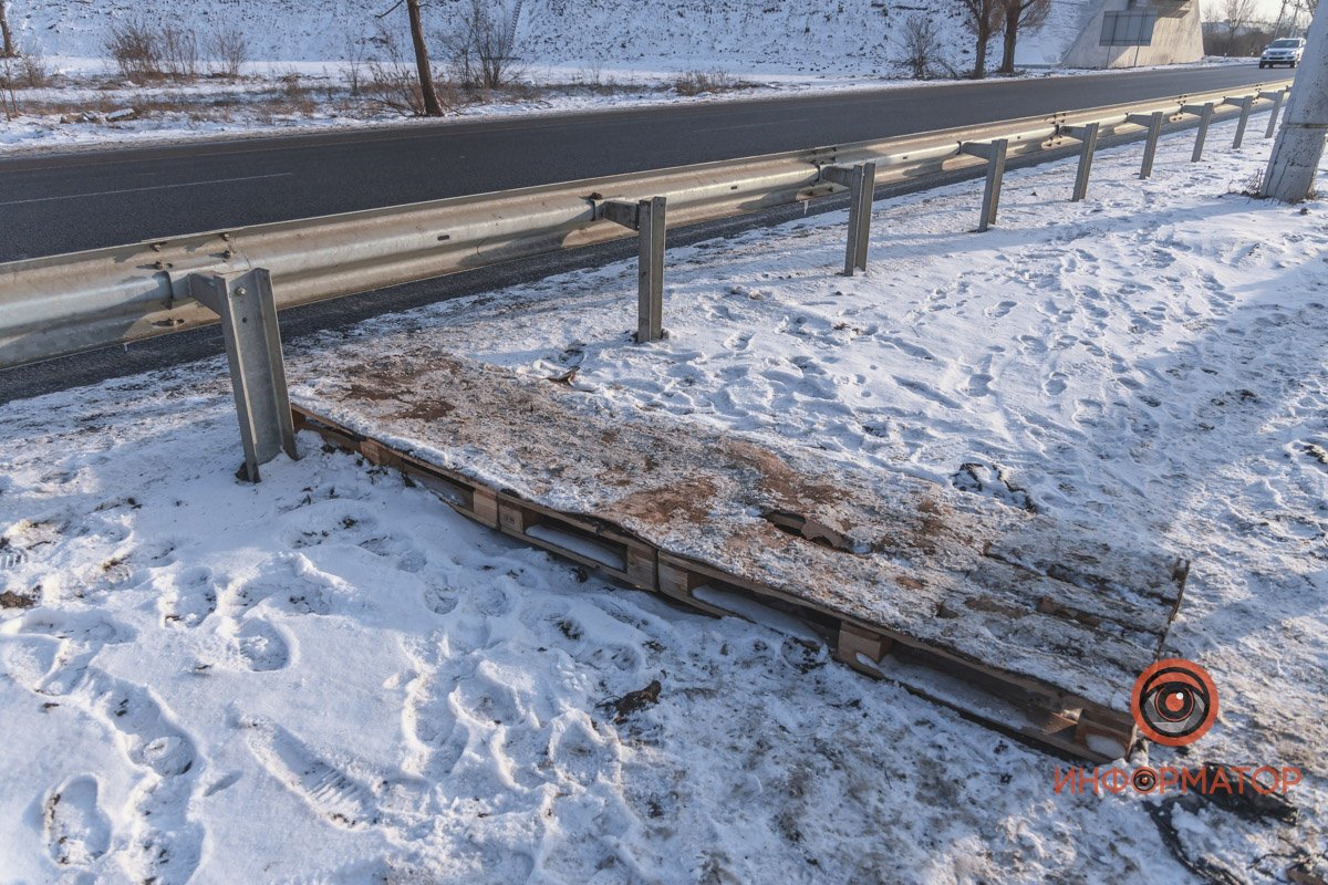 За пол часа дорогу пересекли около 6 человек 