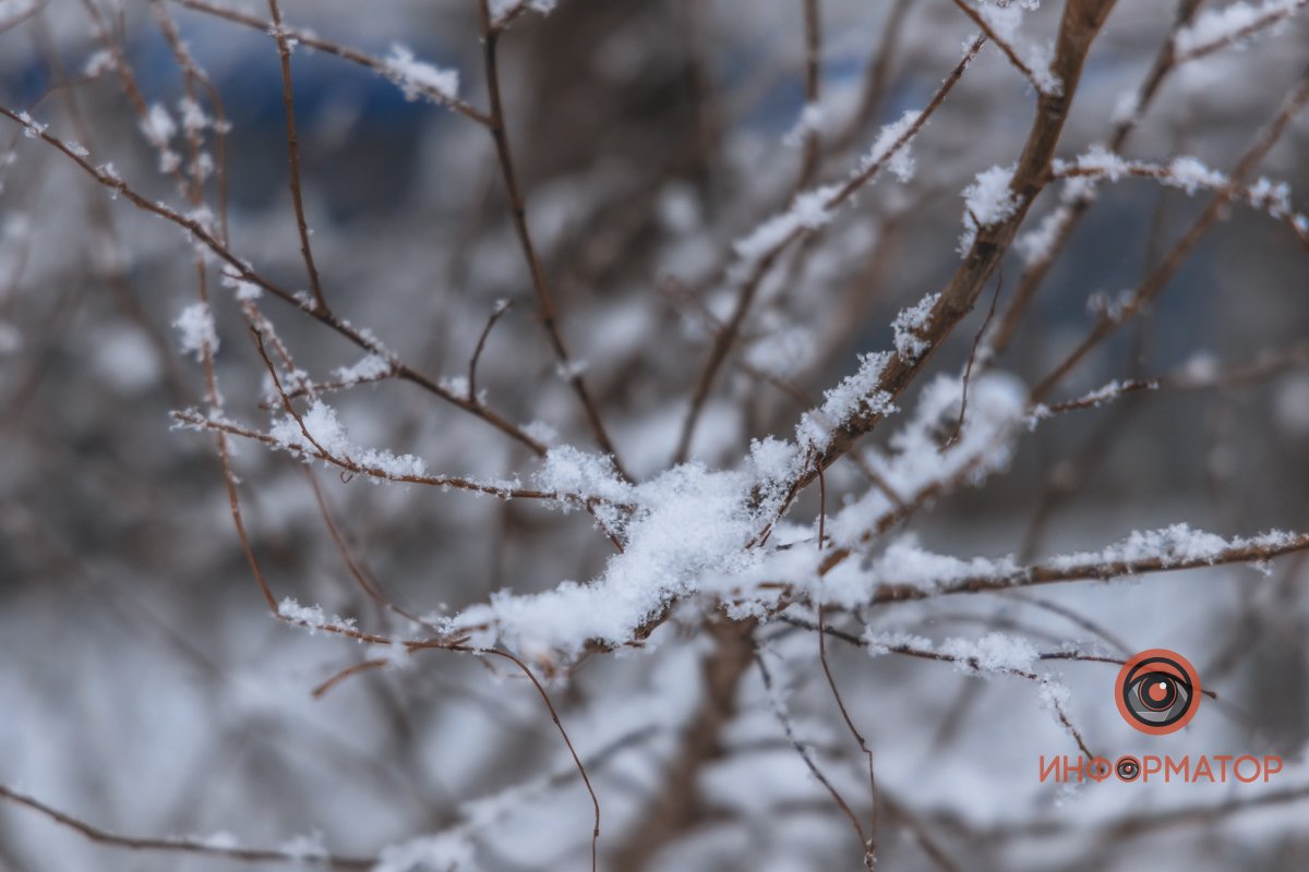 В Днепре прошел удивительный снегопад
