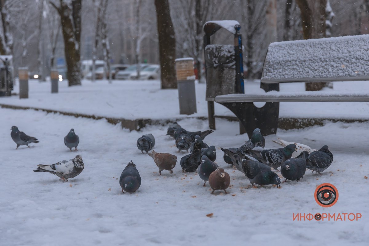 Нет времени, чтобы любоваться