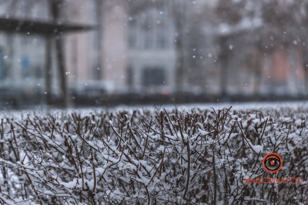 Плотно падает