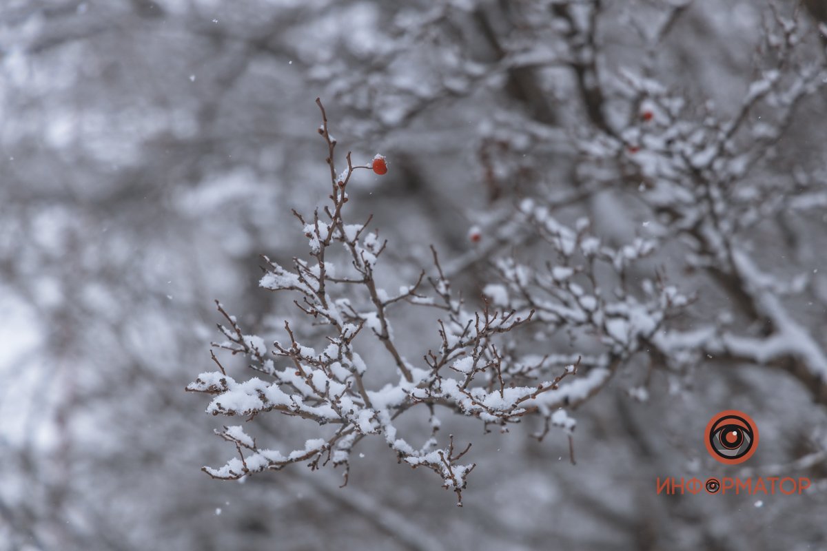 Держится из последних сил