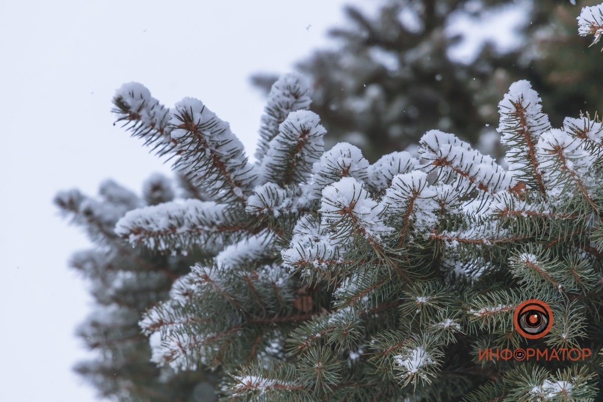 Холодной зимой